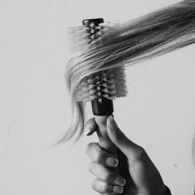 Signature Blowout Club at Blossom & Mane in Crown Point, IN
